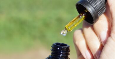 Comparando aceites de CBD: Tinturas vs cápsulas vs comestibles 6 Comparando aceites de CBD: Tinturas vs cápsulas vs comestibles