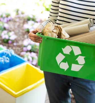 Consejos para reciclar tus residuos